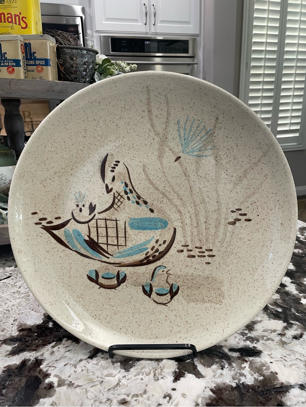 Red Wing Bob White Quail Pattern in Brown/Teal Vintage MCM Plate 11”
